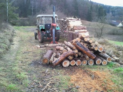 K1024_2013-12-23 09.26.32.JPG