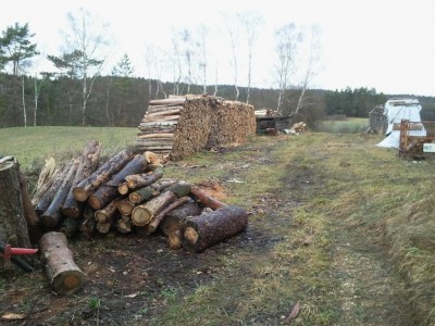 K1024_2013-12-23 09.27.05.JPG