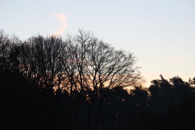 Bildla Nummä 006.jpg