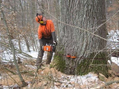 IMG_8943 - Kopie.JPG