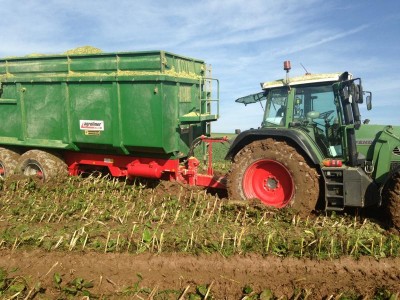 K800_716 + Mulde.JPG