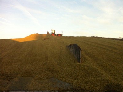 K800_Xerion 9m Silo.JPG