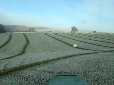 K800_Siloballen bei Bodenfrost.JPG