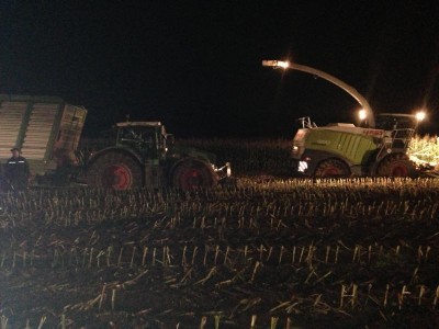 K800_2 auf einen Streich.JPG