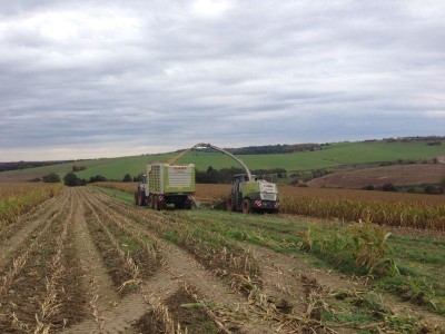 K800_2.Tag Truppacherhof.JPG