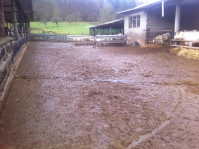 K800_dez 13 i phone 001.JPG