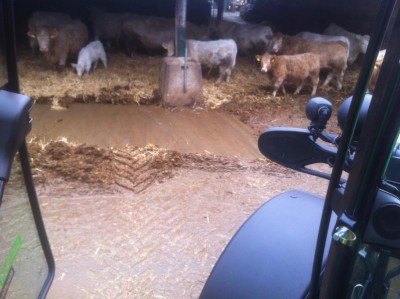 dez 13 i phone 003.JPG