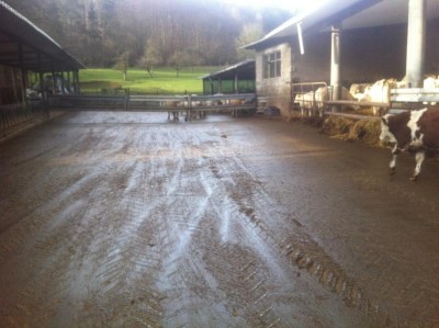 dez 13 i phone 004.JPG