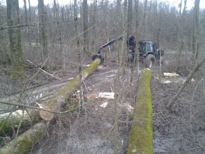 2013-12-27 13.44.10.jpg