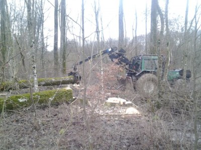 2013-12-27 13.43.54.jpg