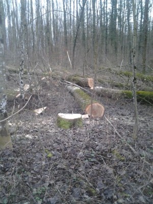 2013-12-27 13.43.46.jpg