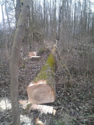 2013-12-27 13.43.36.jpg