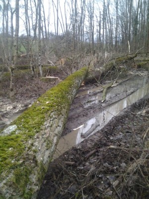 2013-12-27 13.42.50.jpg