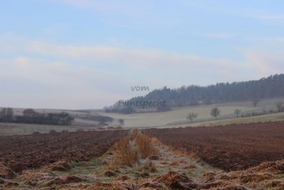 Bildla Nummä 016.jpg