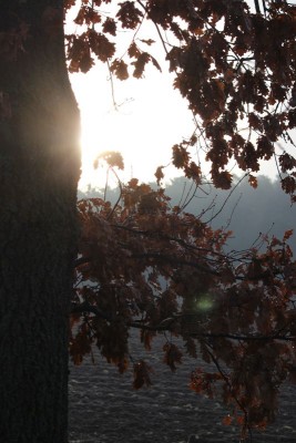 Bildla Nummä 019.jpg