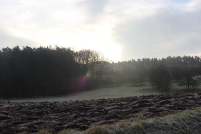 Bildla Nummä 020.jpg