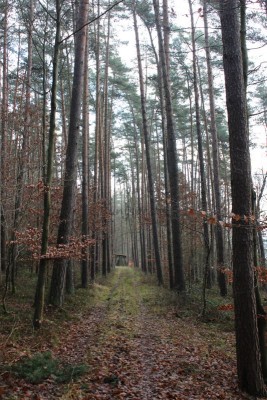 Bildla Nummä 021.jpg