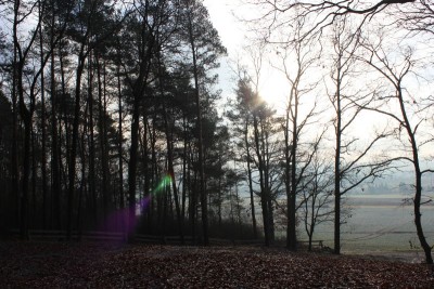 Bildla Nummä 022.jpg