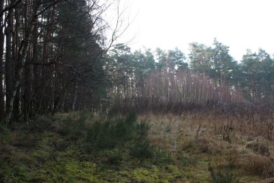 Bildla Nummä 026.jpg