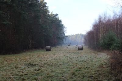 Bildla Nummä 027.jpg