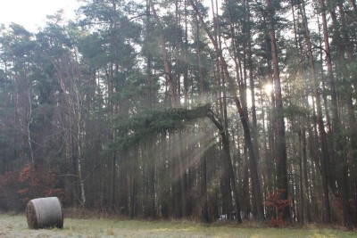 Bildla Nummä 029.jpg