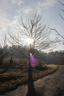 Bildla Nummä 030.jpg