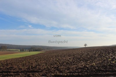 Bildla Nummä 031.jpg