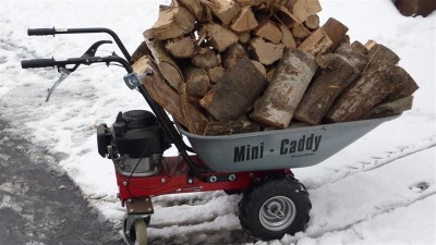 P1040241 (Medium).JPG