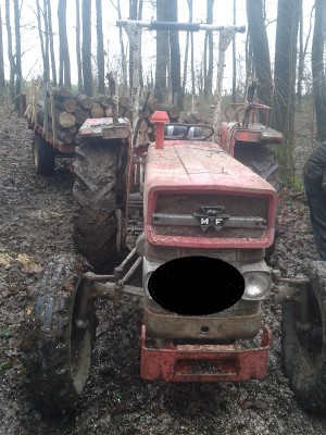 MF von Vorne halb voll.jpg