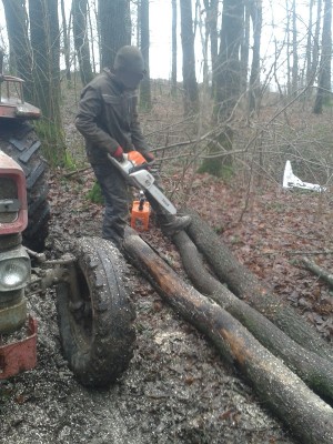 Mf und P.H. am Polter.jpg