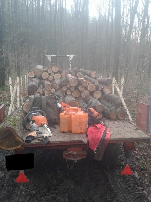 Krre von Hinten fast Voll.jpg