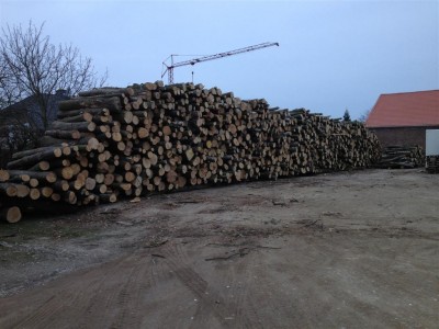 IMG_0429 (Large).jpg