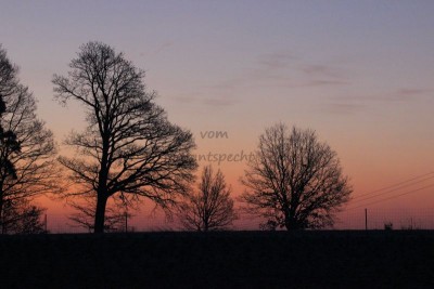 Bildla Nummä 004.jpg