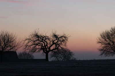 Bildla Nummä 008.jpg