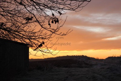 Bildla Nummä 030.jpg