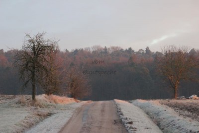 Bildla Nummä 037.jpg