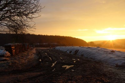 Bildla Nummä 049.jpg