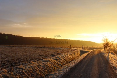 Bildla Nummä 053.jpg