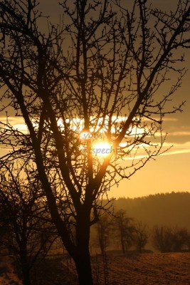 Bildla Nummä 056.jpg