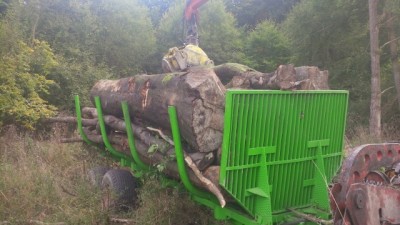 IMG_00000099 (640x360).jpg