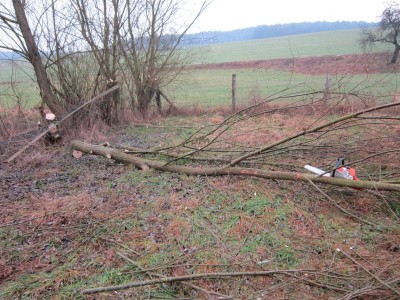 Bildla Nummä 003.jpg