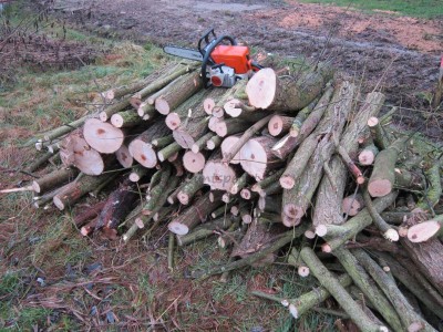 Bildla Nummä 004.jpg