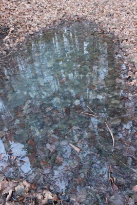 Bildla Nummä 004.jpg