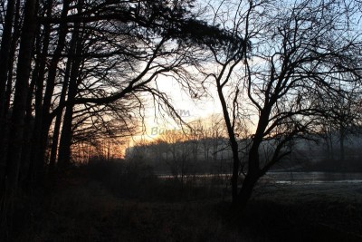 Bildla Nummä 008.jpg