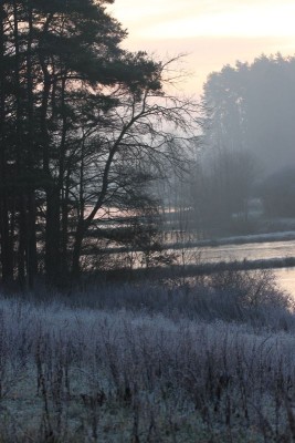 Bildla Nummä 011.jpg