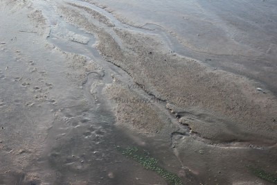 Bildla Nummä 022.jpg