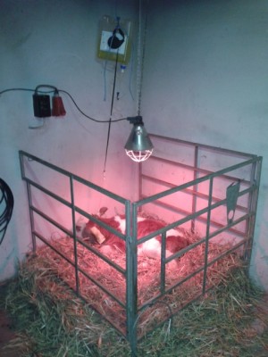 2014-01-14 19.02.33 (480x640).jpg