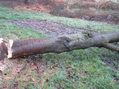 Bildla Nummä 002.jpg