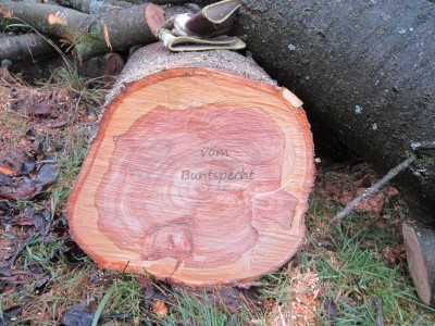 Bildla Nummä 004.jpg