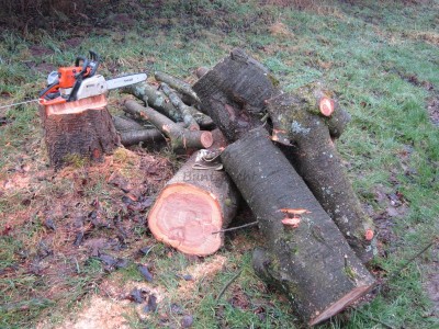 Bildla Nummä 005.jpg